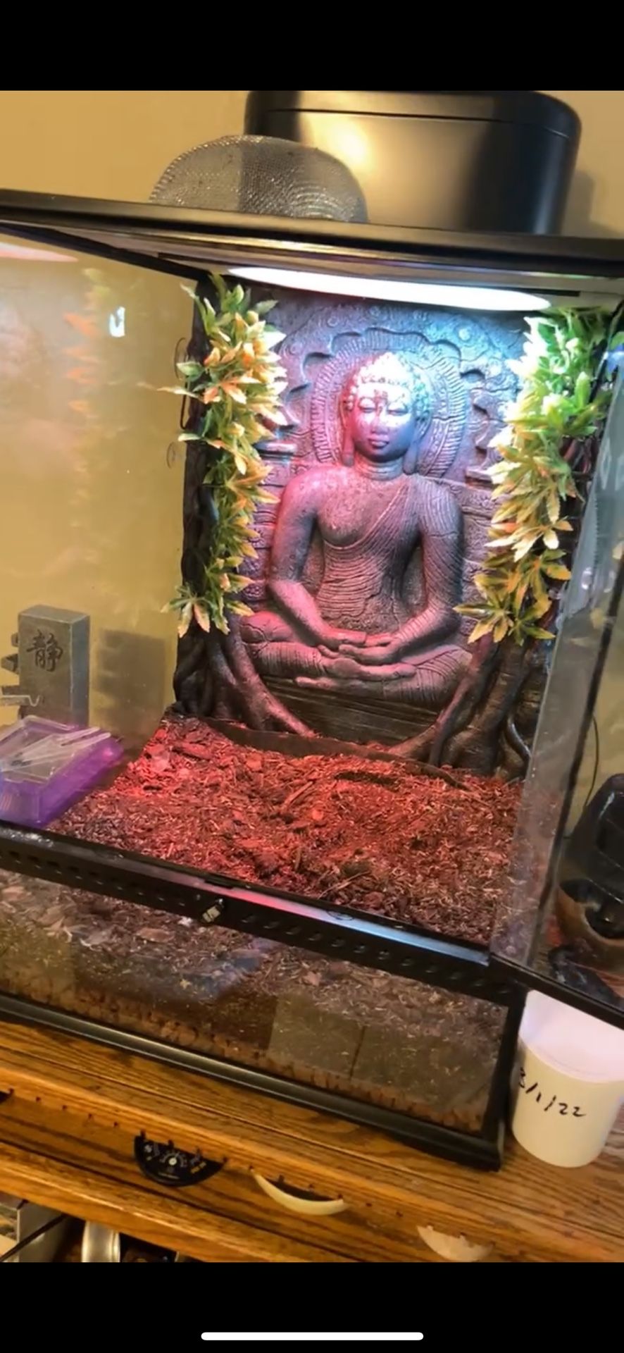 Reptile Enclosure