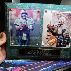 Dan Marino Plaque Miami Dolphins 