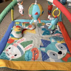 Activity Gym & Play Mat