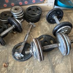 Weights 