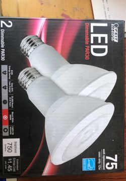 2 Dimmable LED PAR30 Lightbulbs