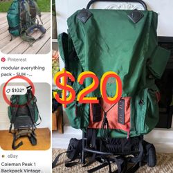 $20 Or Best Offer Traveling Mountains /Camp Trails McKinley Large Traveling Backpack