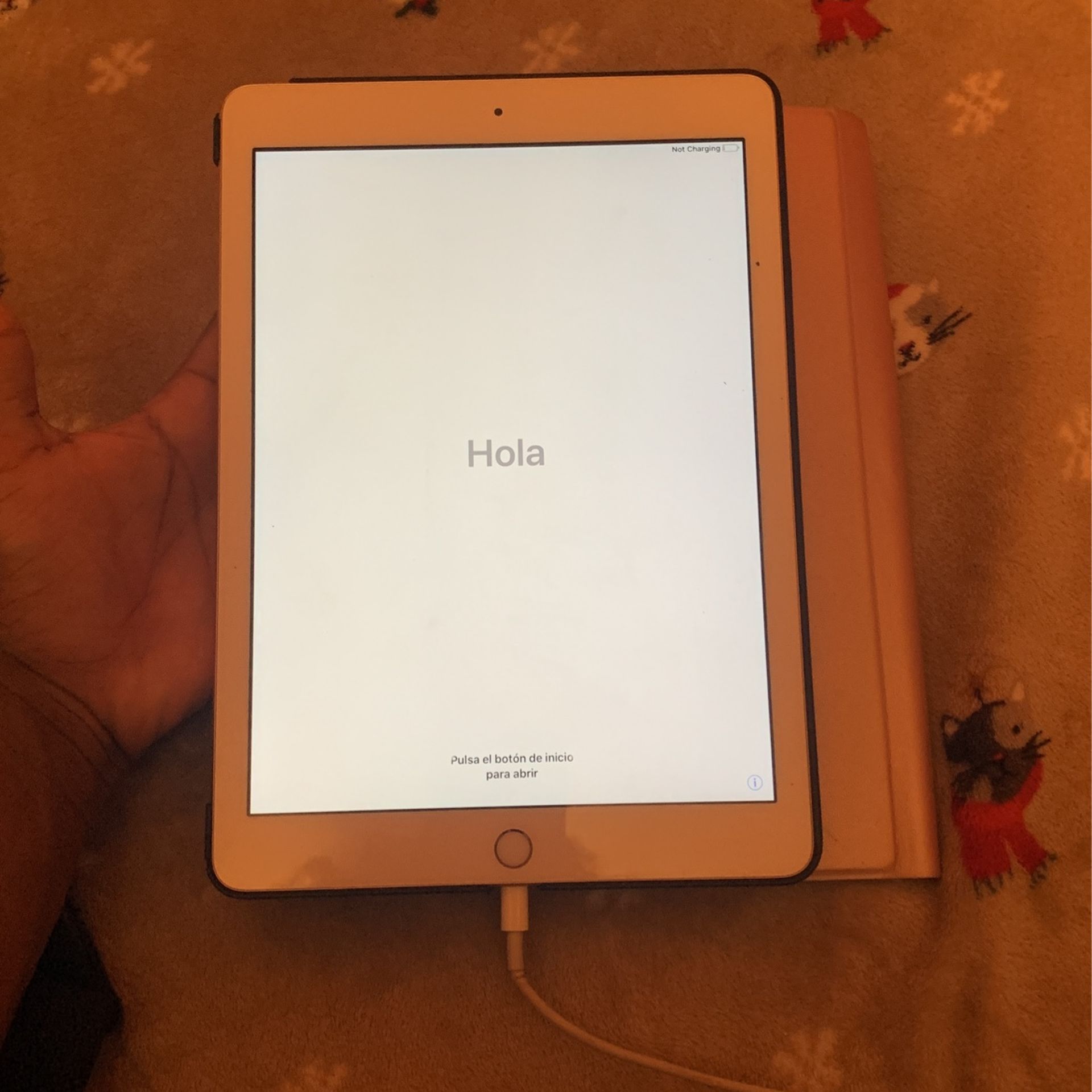 iPad Rose Gold.