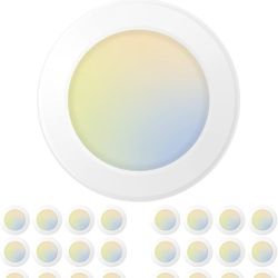 24 Pack 5/6 Inch LED Disk Lights