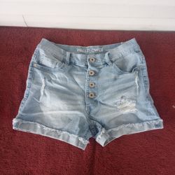 Wallflower Juniors Flirty Curvy High Rise Shorty Shorts Cuffed Rae 3 