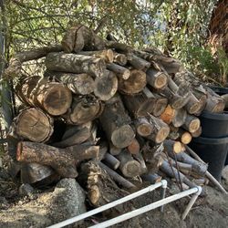 Eucalyptus Fire Wood