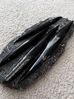 Antique Orthoceras Fossil Standing Sculpture