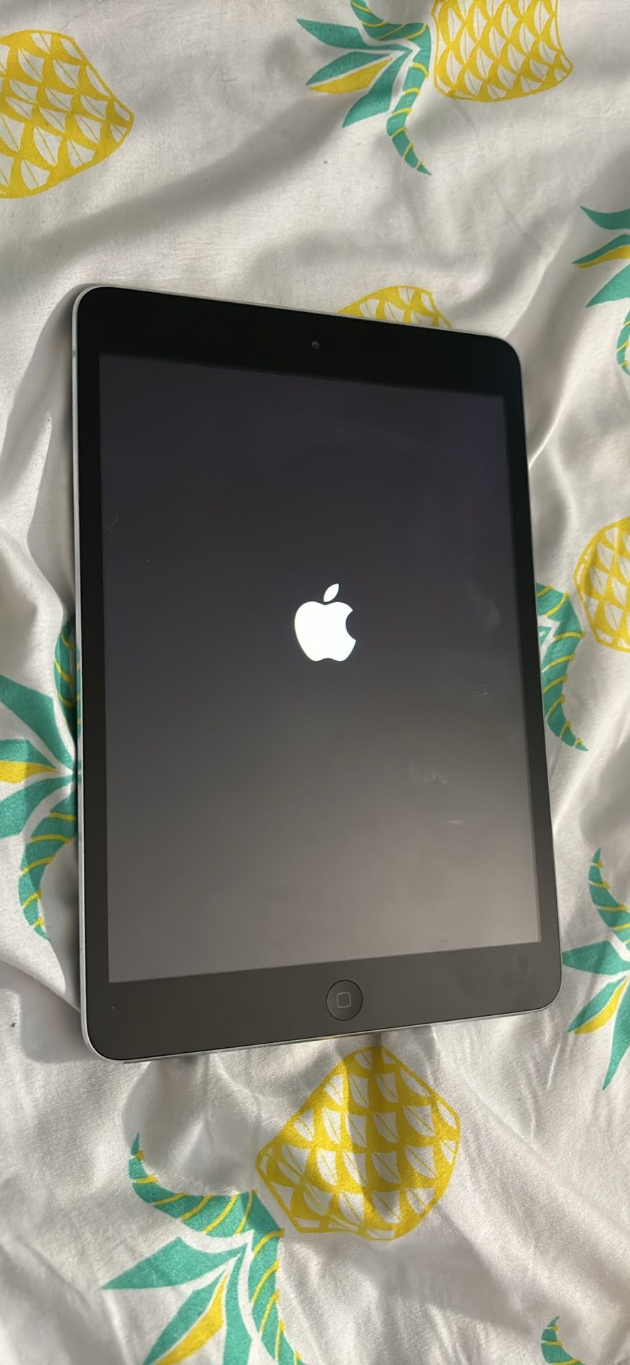 iPad Mini WiFi Model (no Negotiation With Price )