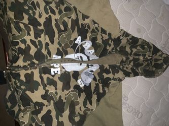 Bape