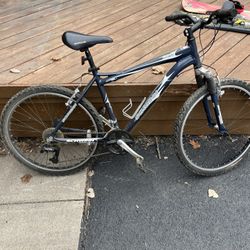 Schwin Bike 