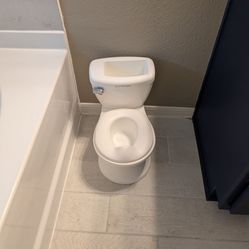 Potty chair