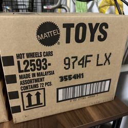 Hot Wheels Sealed F Case 2025