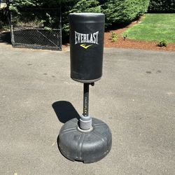 Everlast Freestanding Punching Bag