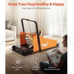 Vevor Dog Treadmill Model: KNR-JK1606
