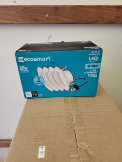 Ecosmart 4" Can Lights Daylight
