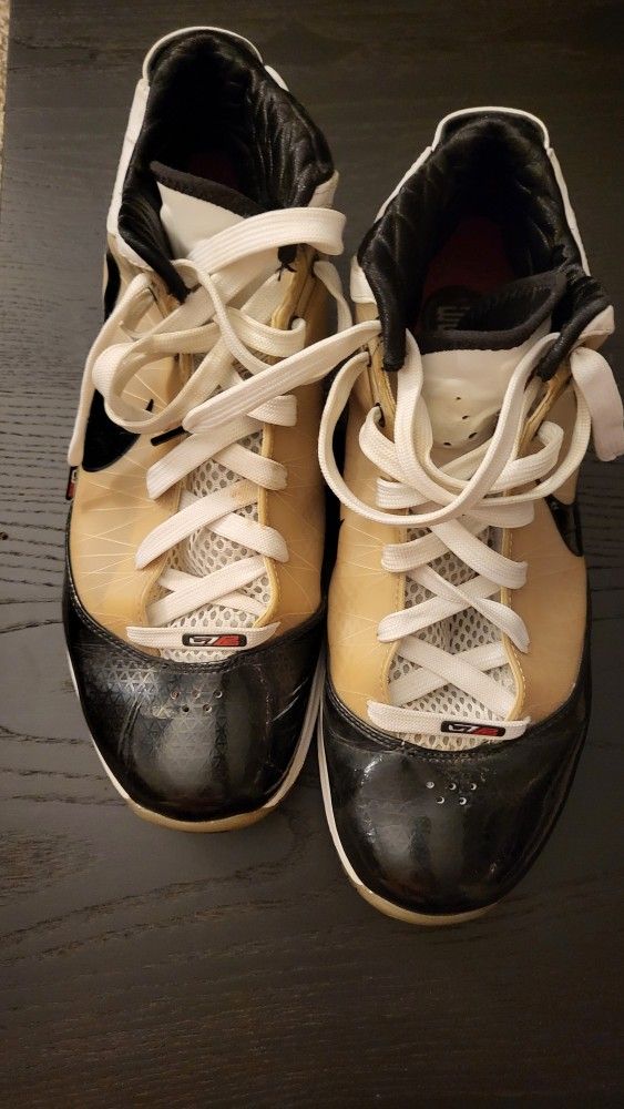 Nike Lebron Size 12