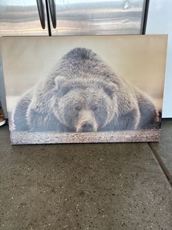 Canvas Bear Picture