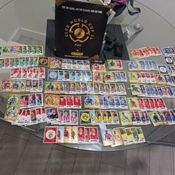 Panini  Sticker Album 