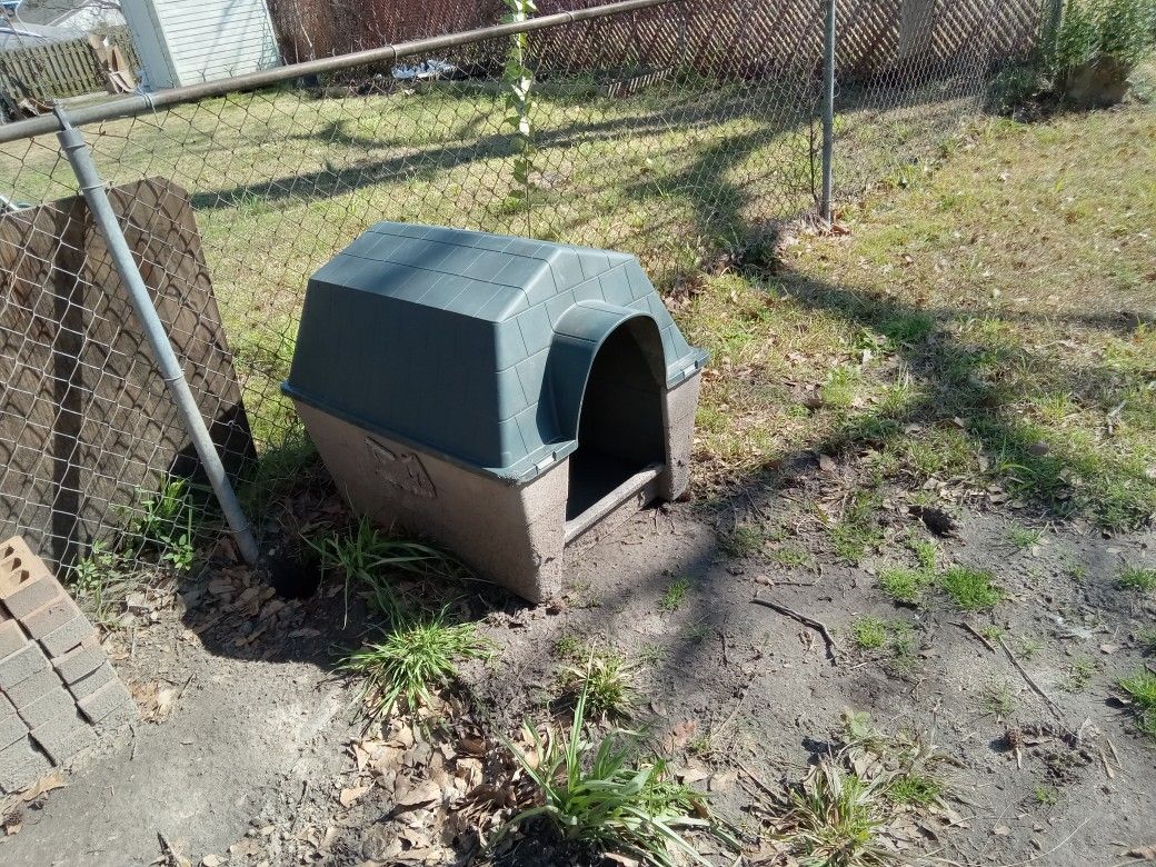 Dog House 