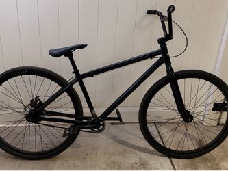 29” custom BMX Cruiser Bike