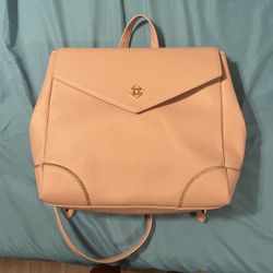 glass ladder backpack / purse 