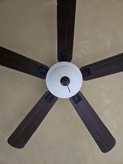 Ceiling Fan