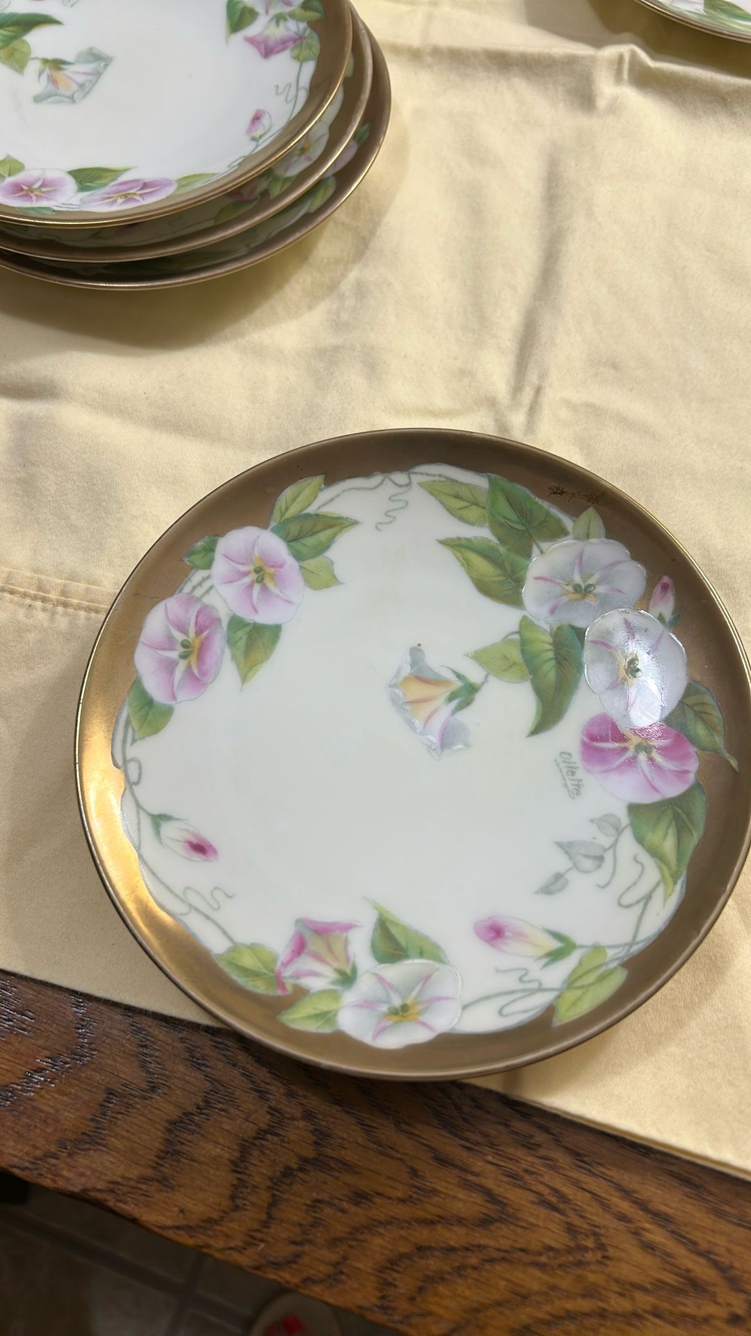 Vintage antique hand painted 12 plates from Bavaria Germany