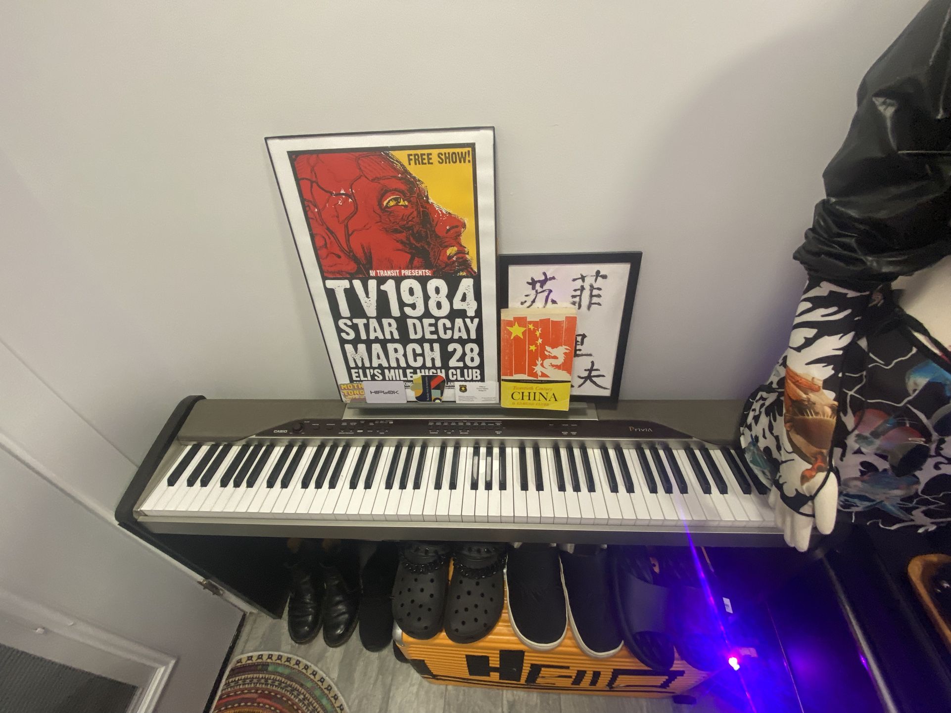 Casio Privia PX 110 Weighted 88 Keys