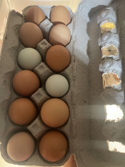 Farm Fresh Eggs