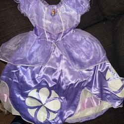 Princess Sofia Costume 