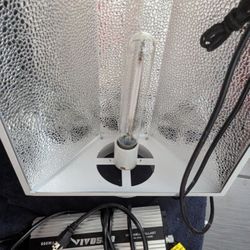 Vivosun 600W HPS Grow Light System