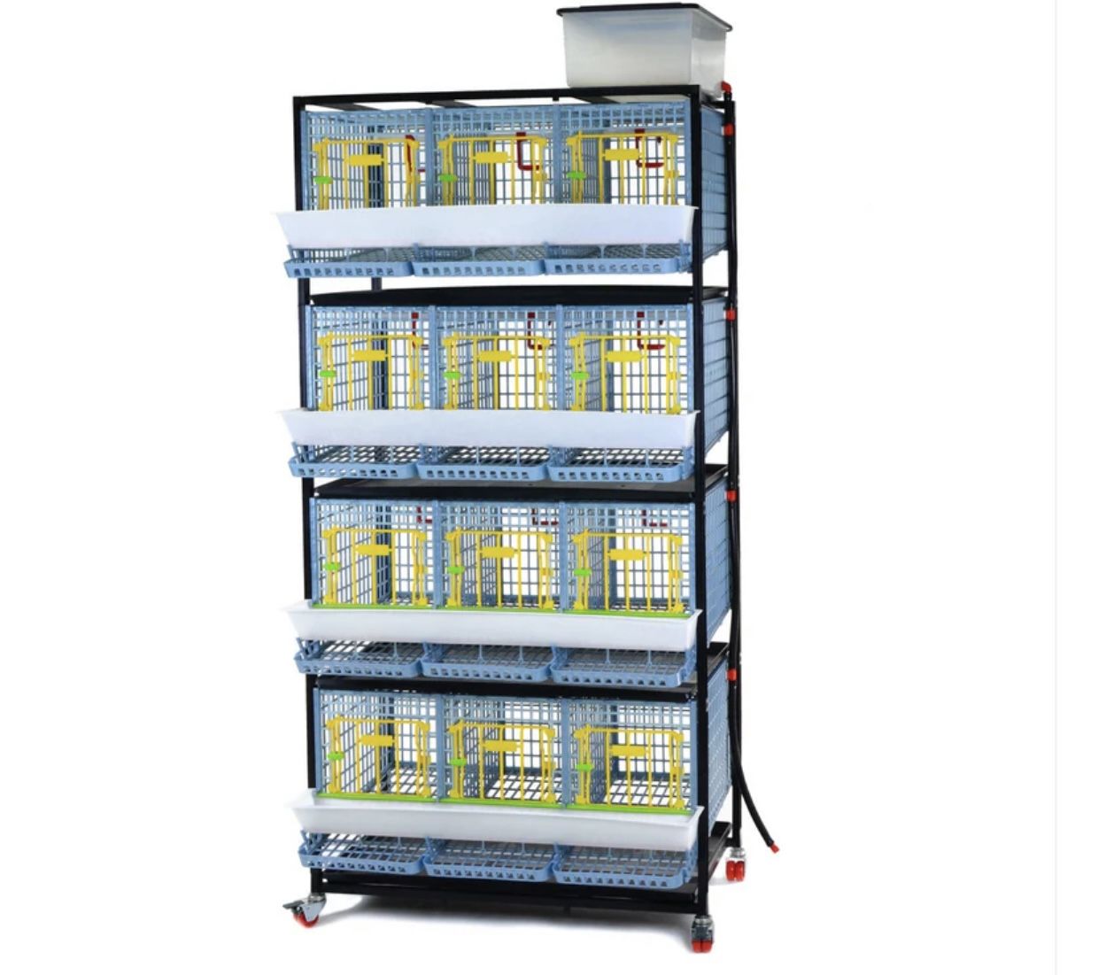 Hatching Time 4 Layer Chicken Cage