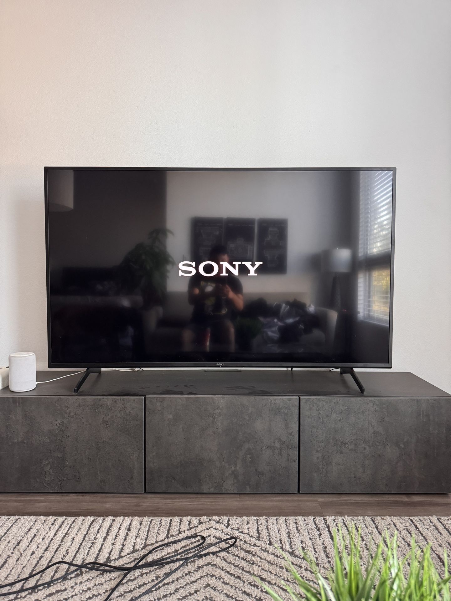 Sony 65” 4K TV
