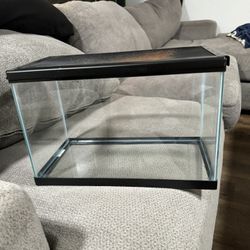 FREE DELIVERY! 5 Gallon Tank: HEATER AND FILTER INCLUDED 