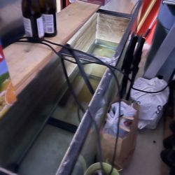 150+ Gallon Fish Tank