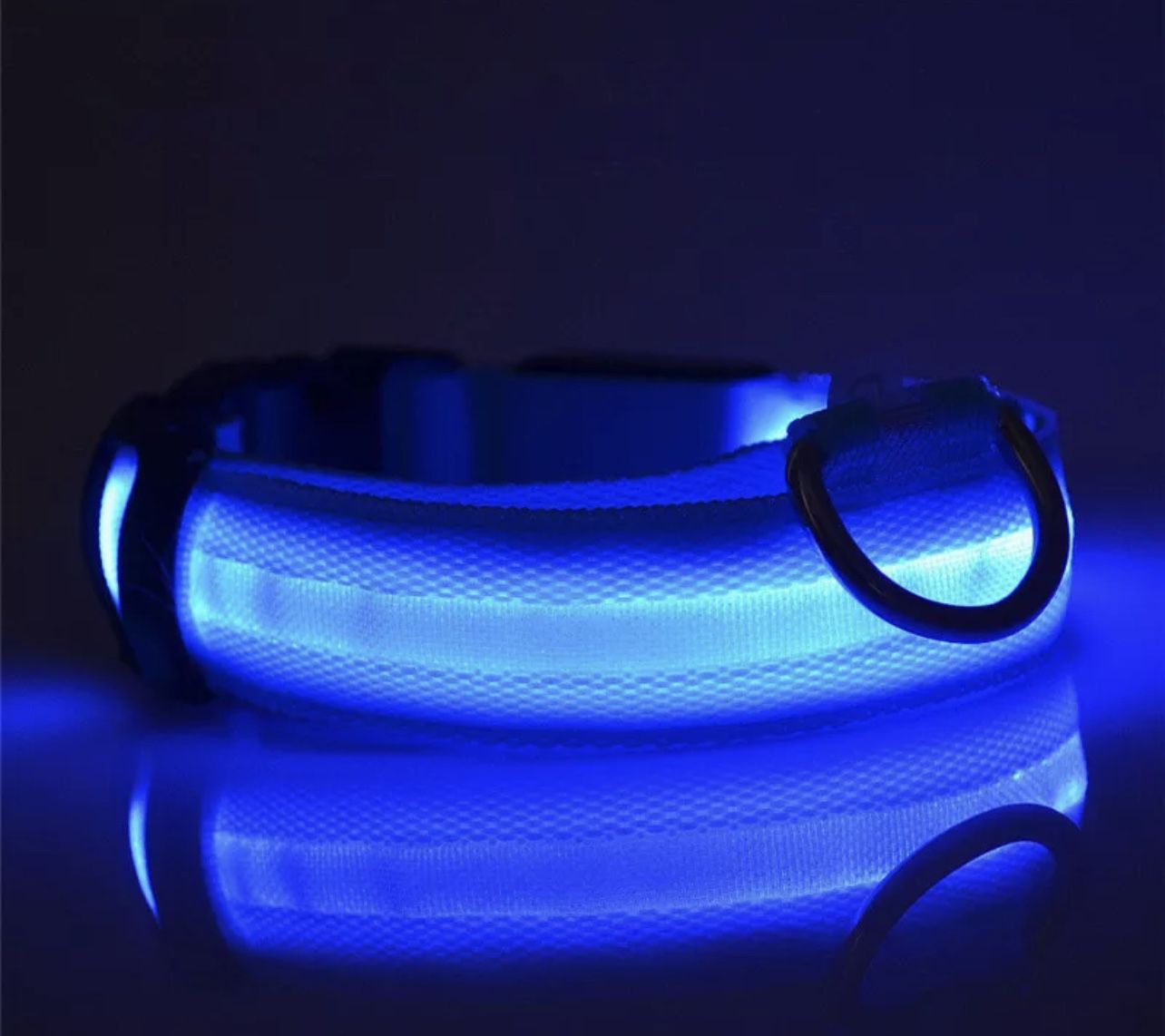 LED Neon Blue Dog Collar 