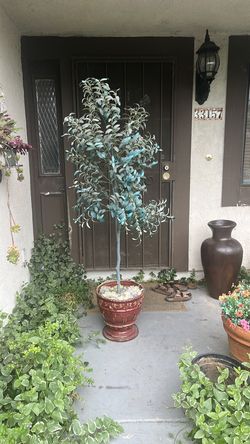 Artificial olive tree