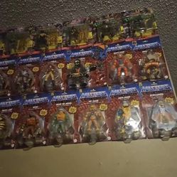 Ninja Turtles And Heman Collection 
