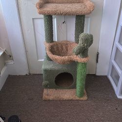 Cat Tower