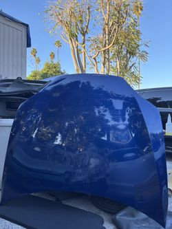 Tesla Model S Hood