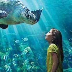 Seaworld tickets/boletos 