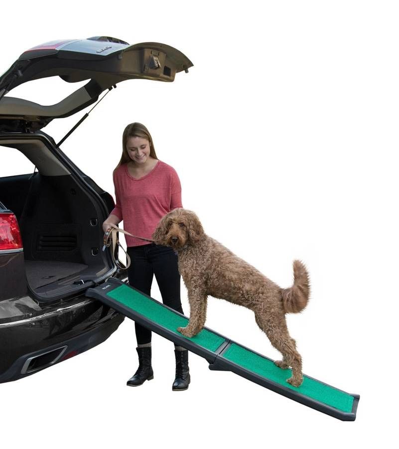 Pet Gear Portable Ramp Travel Lite Bi Fold With SupertraX Animal Rehabilitation