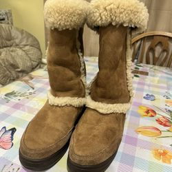 Uggs Boots 