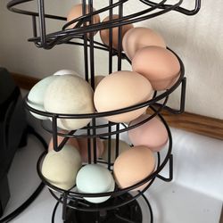 Fresh  Eggs
