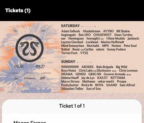 2 CRSSD TICKETS SUNDAY 220 each
