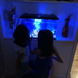 Fish Tank 