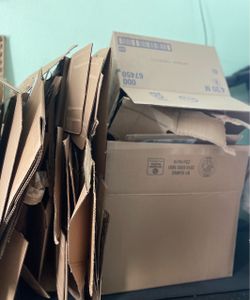Art project ?need cardboard? FREE