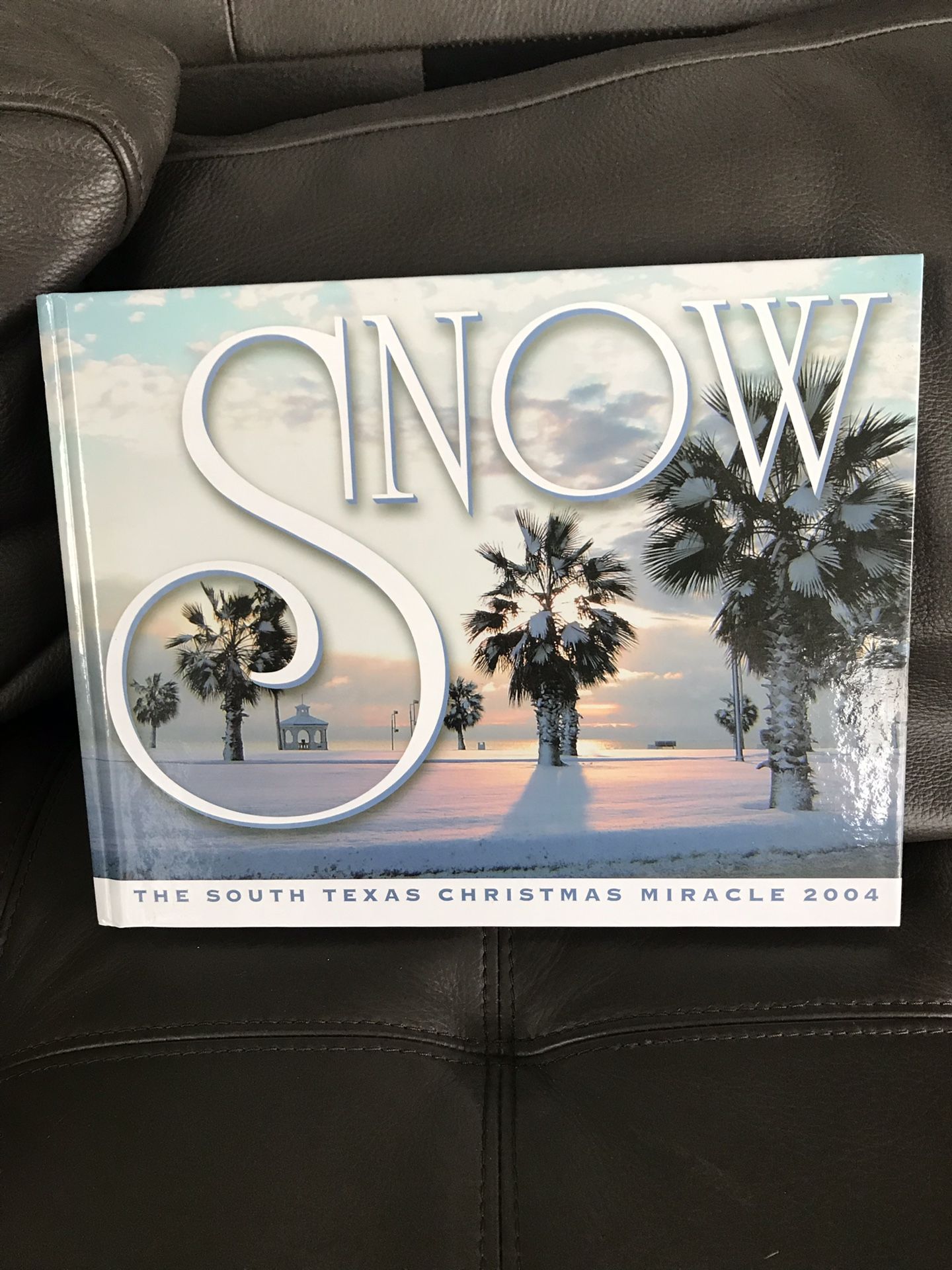 Snow Book 2004 Collectible