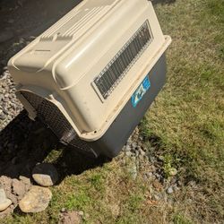 Dog Crate 