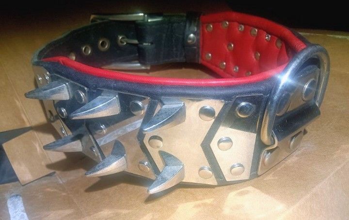Custom Spiked/Steel Plated *All-Leather* medium dog collar